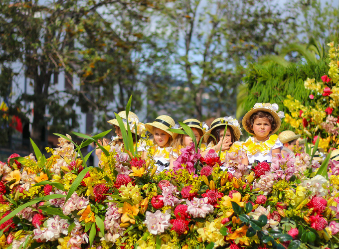 Madeira Flower Festival Tickets Best Flower Site